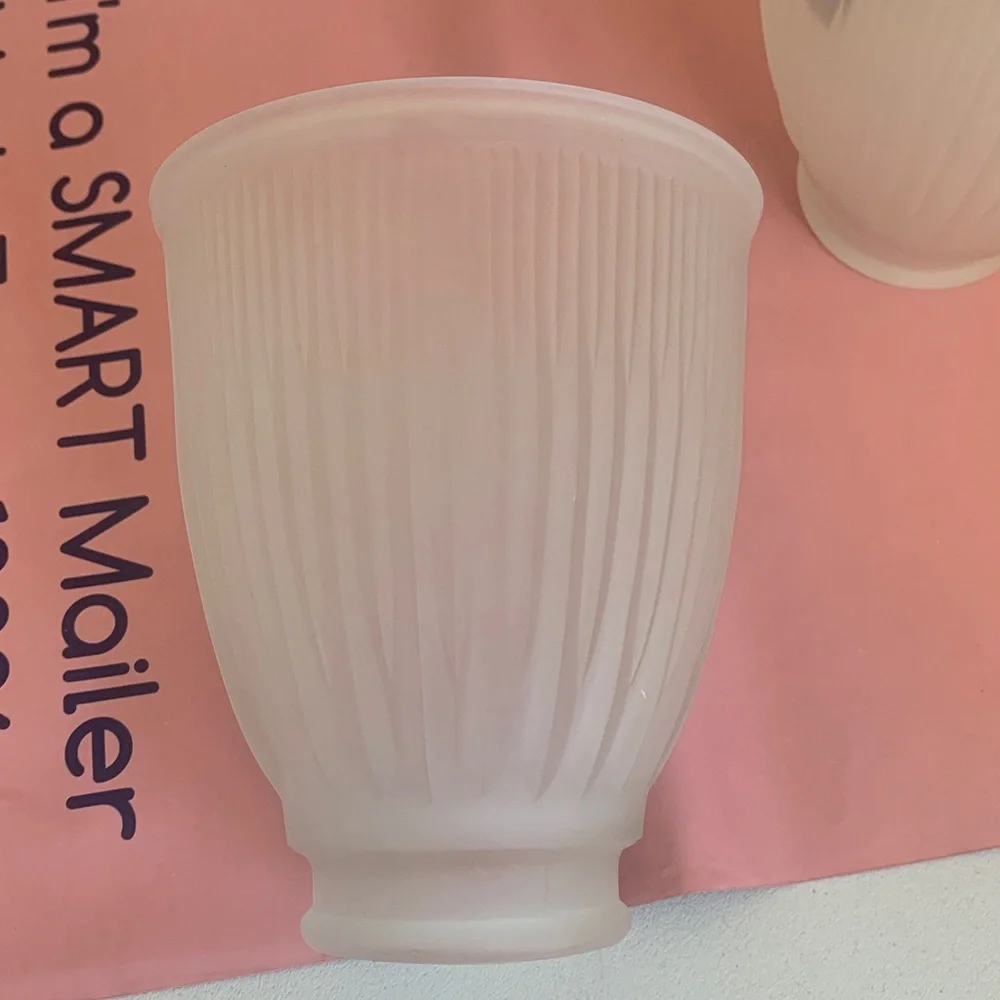 Westinghouse Frosted Pleated Glass Light Shades - Set of 2